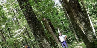 Bătrân rătăcit într-o pădure din Târgu-Cărbunești, găsit după două ore de căutări