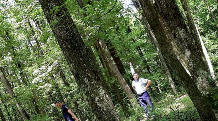 Bătrân rătăcit într-o pădure din Târgu-Cărbunești, găsit după două ore de căutări