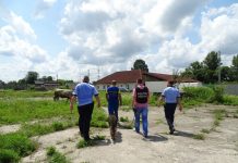 Hoț prins cu ajutorul câinelui de urmă