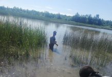 Jandarmii, în acțiune: Pești prinși în plasă, eliberați