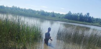 Jandarmii, în acțiune: Pești prinși în plasă, eliberați