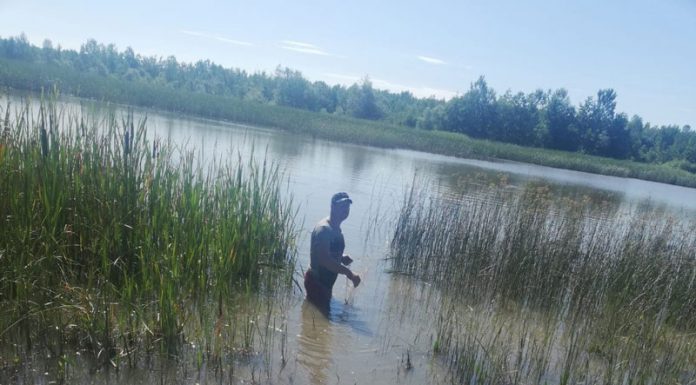 Jandarmii, în acțiune: Pești prinși în plasă, eliberați