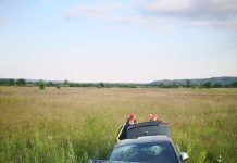 Accident în Buduhala produs din cauza unei femei care făcea o depăşire neregulamentară