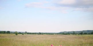 Accident în Buduhala produs din cauza unei femei care făcea o depăşire neregulamentară