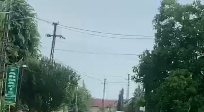 VIDEO: Cei doi bărbați care au amenințat cu bătaia și au înjurat polițiștii, duși în arest