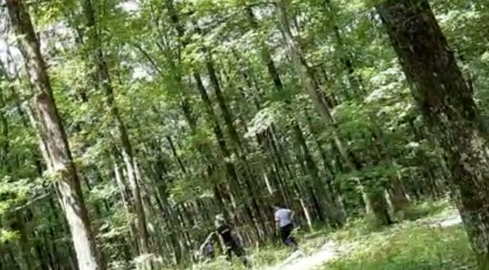 FOTO: Plecat la cules de ciuperci, un bătrân s-a rătăcit într-o pădure din Târgu-Cărbunești