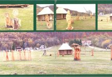 Începe tabăra de sculptură de la Polovragi