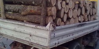 Lemne fără documente, confiscate de polițiști