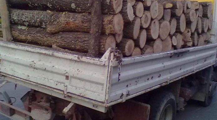 Lemne fără documente, confiscate de polițiști