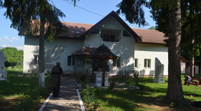 În plină pandemie – Obștea Peștișani alocă sume imense pentru dividende și investiții