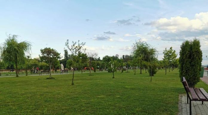 Spațiile verzi din Târgu Jiu și Motru, verificate de comisarii Gărzii de Mediu