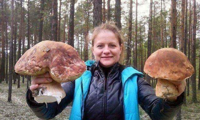 Mânătărci uriașe găsite lângă Mănăstirea Polovragi