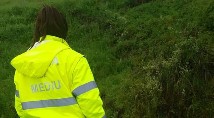 Noi sancțiuni, anunțate de Garda de Mediu Gorj