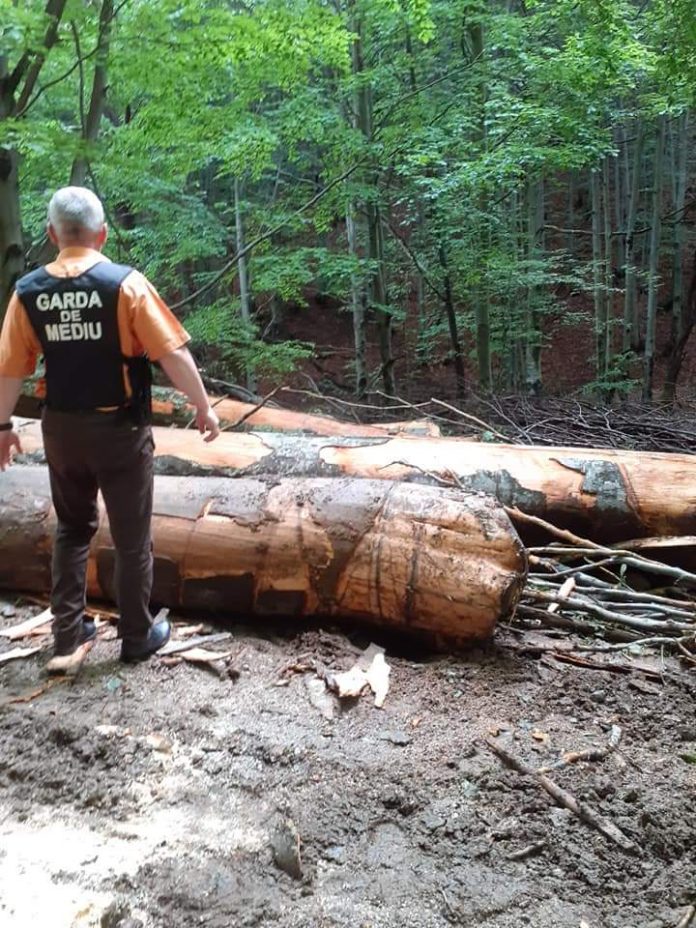 FB_IMG_1592842440044