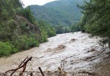 Podul din zona Vișina, distrus!