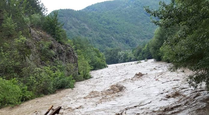 Cod galben de viituri pe Jiu