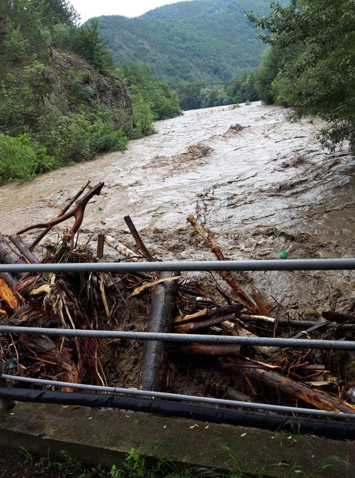 FB_IMG_1593167560893