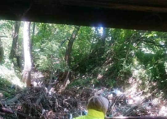 Societatea OMV Petrom, amendată pentru poluare la Bustuchin