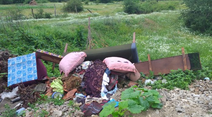 Și-au lăsat facturile în gunoi! Cetățeni din Peștișani, amendați de Poliția Locală