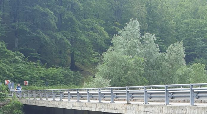 Galerie foto: Viitură pe Jiu!