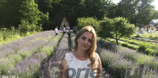 Festivalul lavandei, o nouă ediție în toamnă!