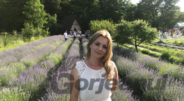 Festivalul lavandei, o nouă ediție în toamnă!