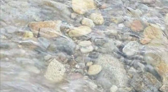 Garda de Mediu, în control la Primăria Novaci!