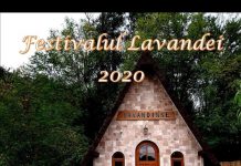 Programul complet al Festivalului Lavandei de la Târgu Jiu
