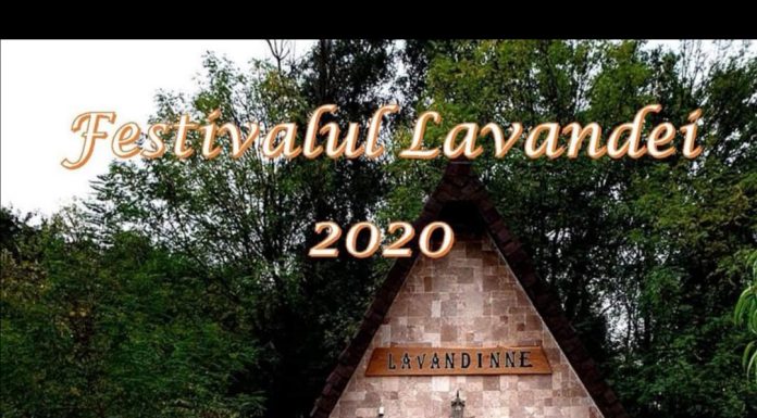 Programul complet al Festivalului Lavandei de la Târgu Jiu