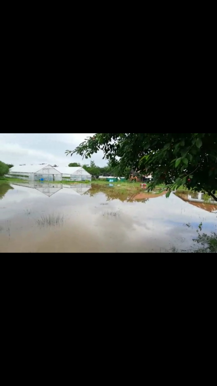 Screenshot_20200617-100912