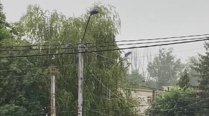 Transloc pune în funcțiune un nou autobuz