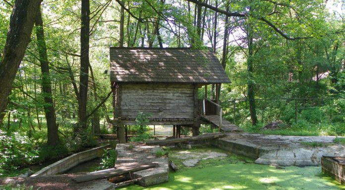 ODATĂ CU RELAXAREA HAIDEŢI SĂ DESCOPERIM – PARADISURI GORJENE