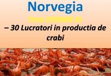 Norvegia recrutează 30 de lucrători în producția de crabi