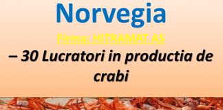 Norvegia recrutează 30 de lucrători în producția de crabi