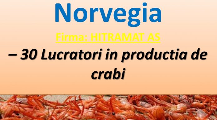 Norvegia recrutează 30 de lucrători în producția de crabi