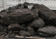 Cota de cărbune, pe bază de cerere tip, depusă în perioada 15 iunie-1 august