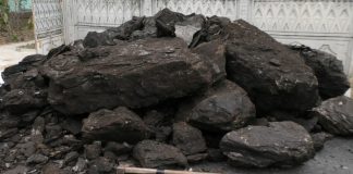 Cota de cărbune, pe bază de cerere tip, depusă în perioada 15 iunie-1 august