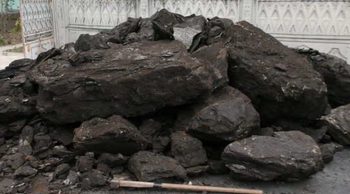 Cota de cărbune, pe bază de cerere tip, depusă în perioada 15 iunie-1 august