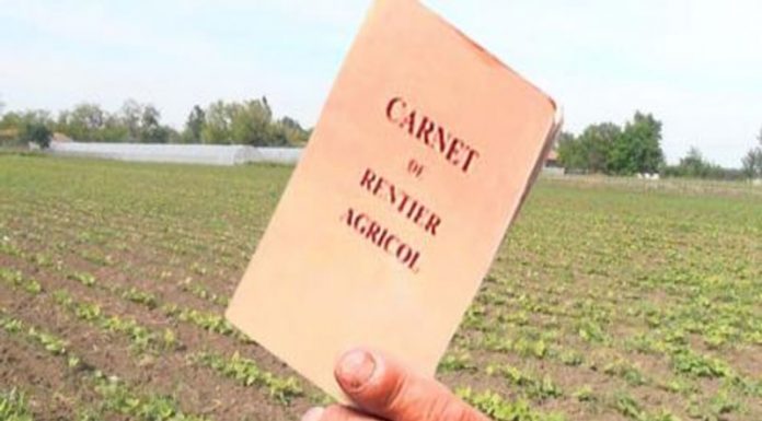 28 de rentieri gorjeni și-au vizat carnetele la APIA Gorj! Termen, 31 august!