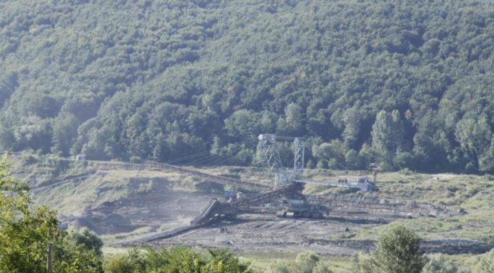 CEO vinde materiale din demolări și defrișări