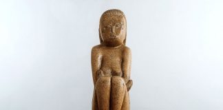 Emag restituie donațiile pentru ,,Cumințenia Pământului”