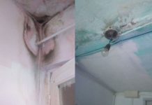 Garsoniera unui motrean, distrusă din cauza apei infiltrate de pe acoperiș! Chiriașul cere reabilitarea întregii locuințe și contract reînnoit