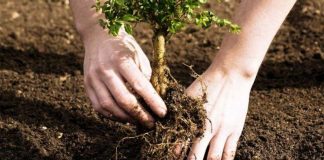 Sesiune prelungită pentru două măsuri din PNDR 2020