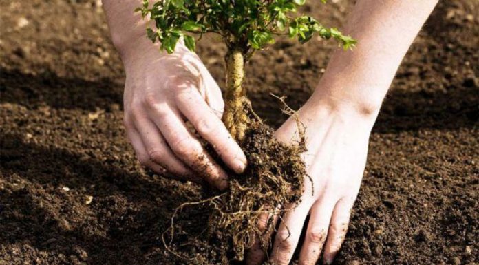 Sesiune prelungită pentru două măsuri din PNDR 2020