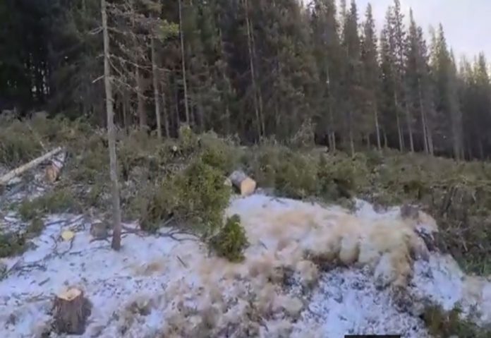 f91f880d41b5f8e17a49a0bc02e01f42