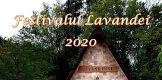 Ploile din ultimele zile au dus la reprogramarea Festivalului Lavandei de la Târgu-Jiu