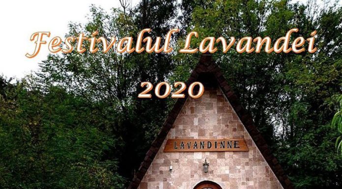 Ploile din ultimele zile au dus la reprogramarea Festivalului Lavandei de la Târgu-Jiu
