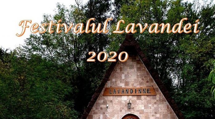 Festivalul Lavandei de la Târgu Jiu s-a reprogramat!