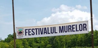 Comuna Roșia de Amaradia, gazda ediției a II-a a Festivalului Murelor