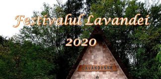 Marți, la Târgu-Jiu, va avea loc Festivalul Lavandei